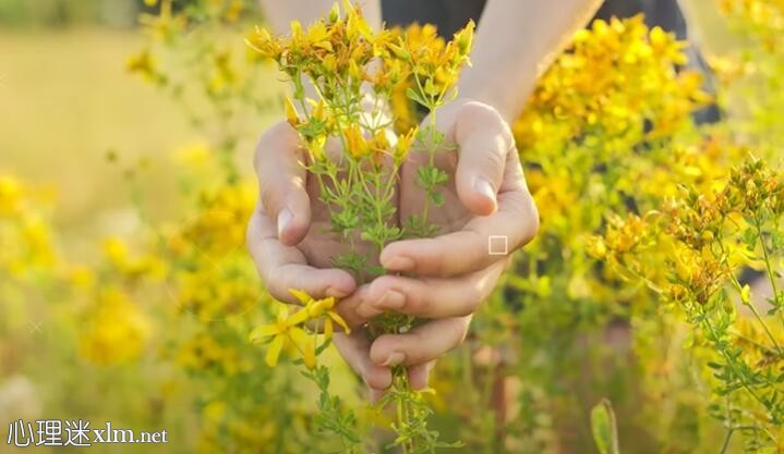 14种茶可以降低胆固醇、高血压和清洁堵塞的动脉