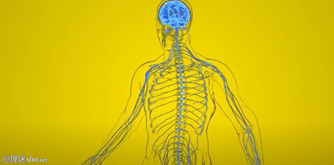 有助于治疗神经病变的6种维生素