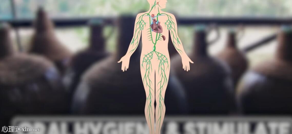12种意想不到的方法让你的身体在24小时内自然排毒 12种意想不到的方法让你的身体在24小时内自然排毒