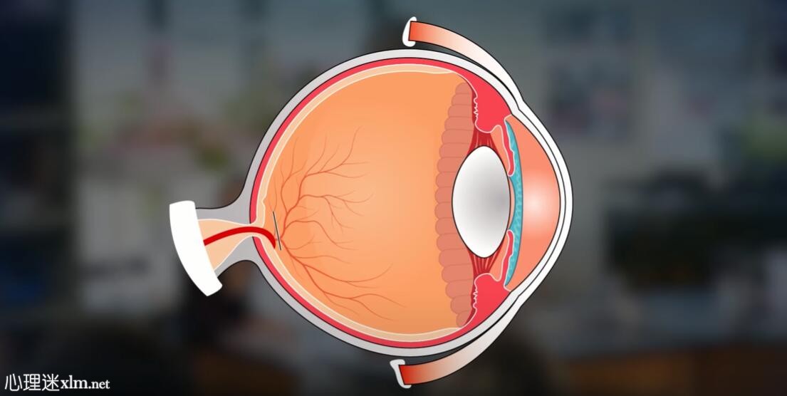 红眼|(结膜炎)的警告体征和症状