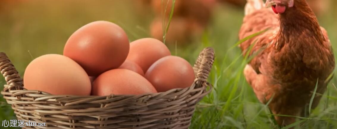 如果你是一名20-40岁的女性，你必须吃的9种食物