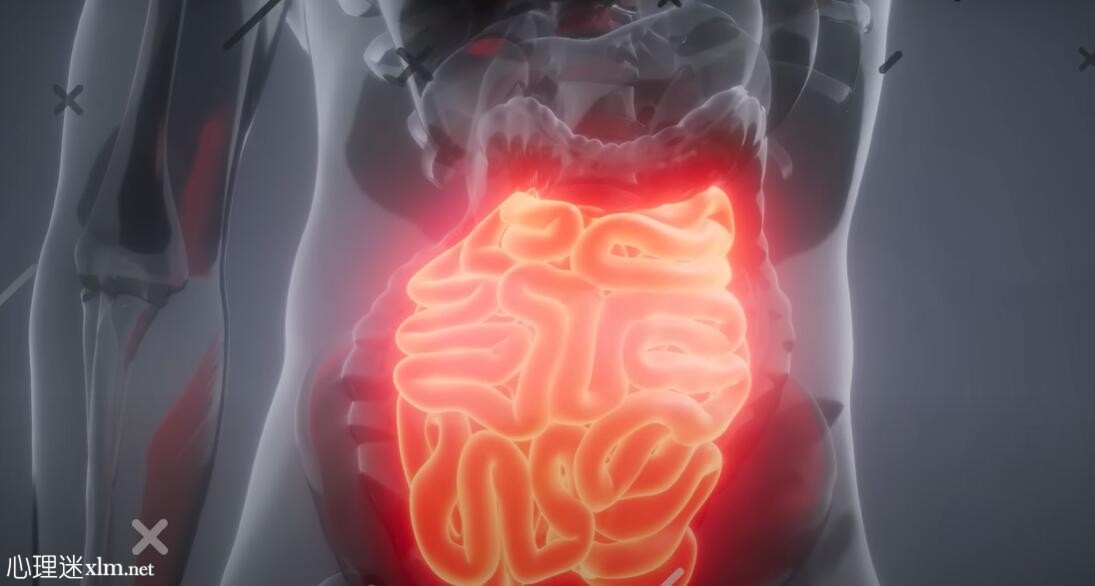 自然改善肠道健康的11种健康方法