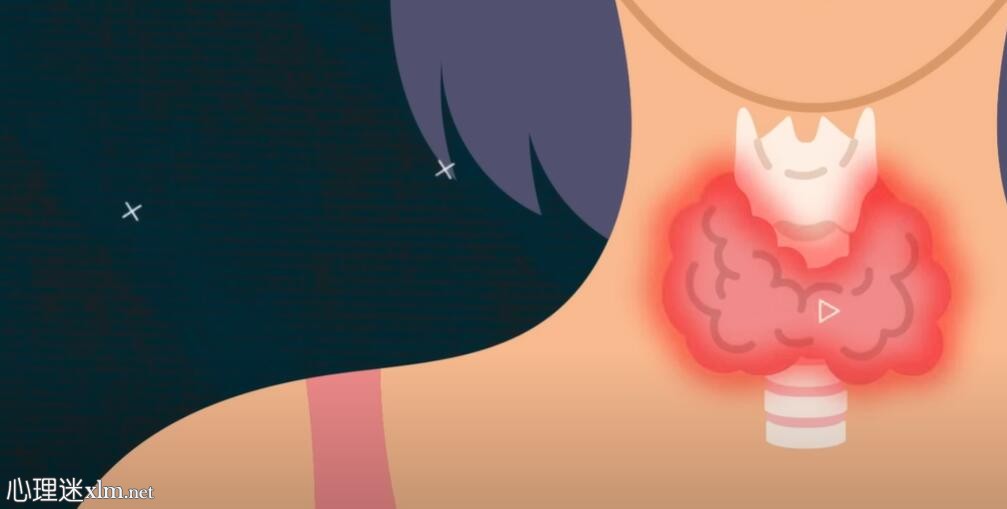 甲状腺功能减退和甲状腺功能亢进的区别是什么?