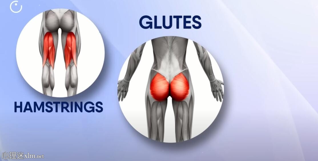 当你每天都做深蹲时，会发生这样的事情