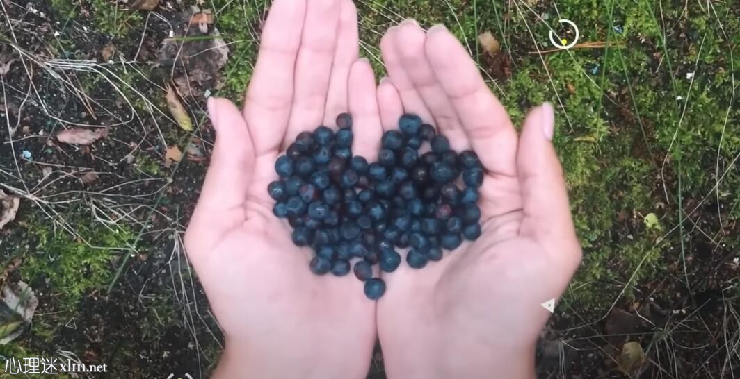 13种食物会自然改善你的眼睛健康，让你不用戴眼镜