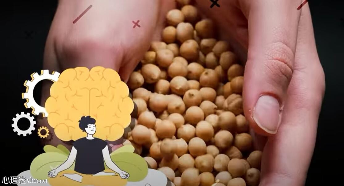 开始每天吃鹰嘴豆，看看你的身体发生了什么